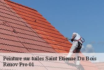 Peinture sur tuiles  saint-etienne-du-bois-01370 Renov Pro 01