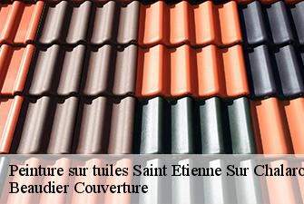 Peinture sur tuiles  saint-etienne-sur-chalaronne-01140 Beaudier Couverture 