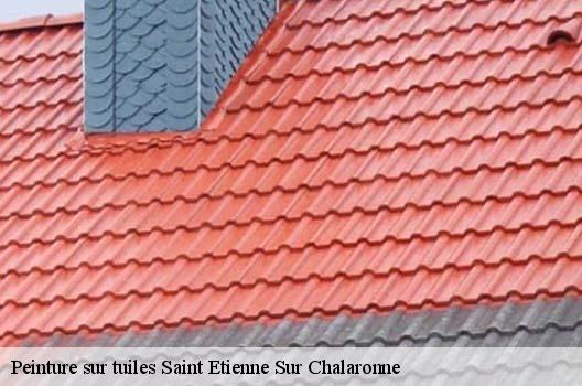 Peinture sur tuiles  saint-etienne-sur-chalaronne-01140 