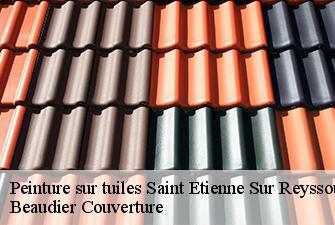 Peinture sur tuiles  saint-etienne-sur-reyssouze-01190 Beaudier Couverture 