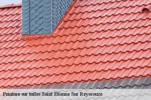 Peinture sur tuiles  saint-etienne-sur-reyssouze-01190 