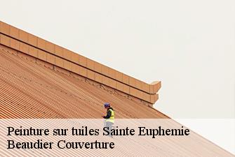 Peinture sur tuiles  sainte-euphemie-01600 Beaudier Couverture 