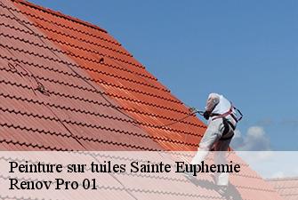 Peinture sur tuiles  sainte-euphemie-01600 Renov Pro 01