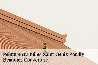 Peinture sur tuiles  saint-genis-pouilly-01630 Beaudier Couverture 