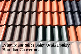 Peinture sur tuiles  saint-genis-pouilly-01630 Beaudier Couverture 