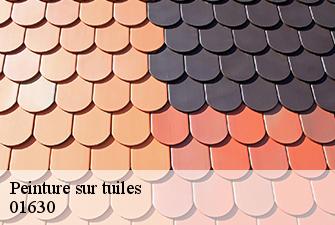 Peinture sur tuiles  saint-genis-pouilly-01630 Beaudier Couverture 