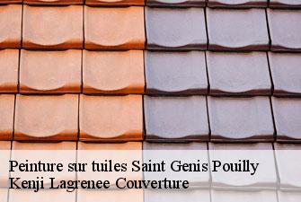 Peinture sur tuiles  saint-genis-pouilly-01630 Kenji Lagrenee Couverture