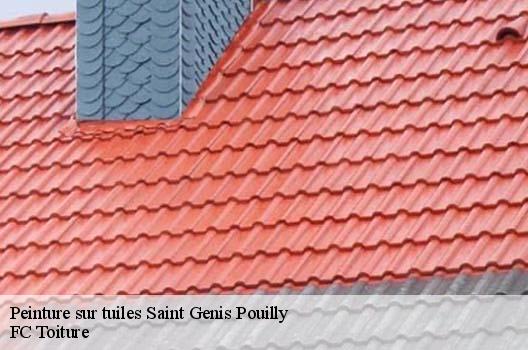 Peinture sur tuiles  saint-genis-pouilly-01630 FC Toiture