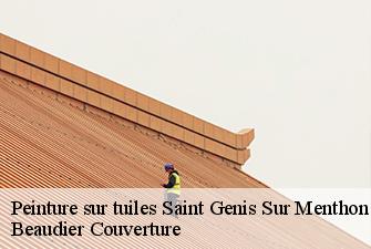 Peinture sur tuiles  saint-genis-sur-menthon-01380 Beaudier Couverture 