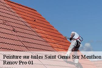 Peinture sur tuiles  saint-genis-sur-menthon-01380 Renov Pro 01