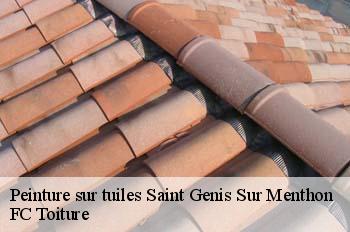 Peinture sur tuiles  saint-genis-sur-menthon-01380 FC Toiture