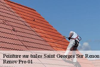 Peinture sur tuiles  saint-georges-sur-renon-01400 Renov Pro 01