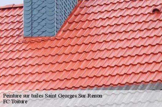 Peinture sur tuiles  saint-georges-sur-renon-01400 FC Toiture