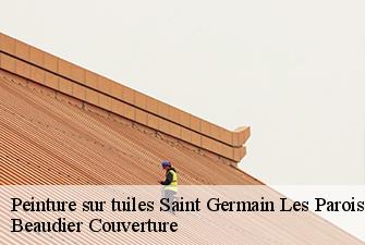 Peinture sur tuiles  saint-germain-les-paroisses-01300 Beaudier Couverture 