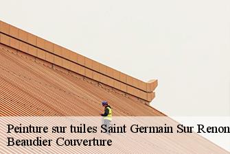 Peinture sur tuiles  saint-germain-sur-renon-01240 Beaudier Couverture 