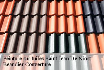 Peinture sur tuiles  saint-jean-de-niost-01800 Beaudier Couverture 