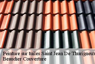 Peinture sur tuiles  saint-jean-de-thurigneux-01390 Beaudier Couverture 
