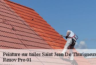 Peinture sur tuiles  saint-jean-de-thurigneux-01390 Renov Pro 01