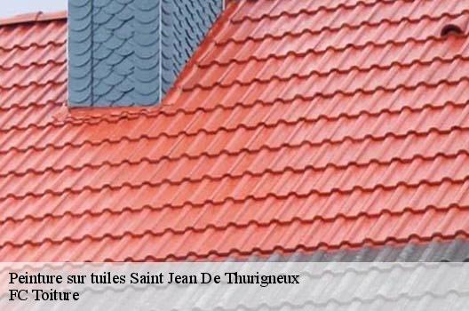 Peinture sur tuiles  saint-jean-de-thurigneux-01390 