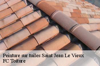 Peinture sur tuiles  saint-jean-le-vieux-01640 FC Toiture