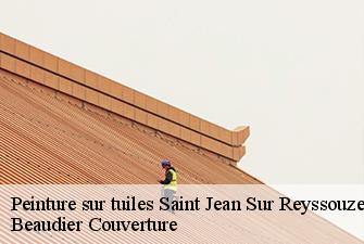 Peinture sur tuiles  saint-jean-sur-reyssouze-01560 Beaudier Couverture 