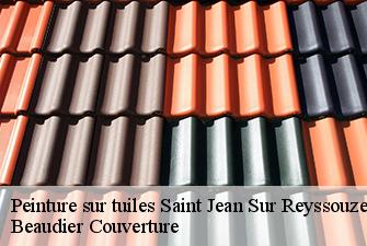 Peinture sur tuiles  saint-jean-sur-reyssouze-01560 Beaudier Couverture 