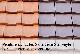 Peinture sur tuiles saint-jean-sur-veyle-01290 Kenji Lagrenee Couverture