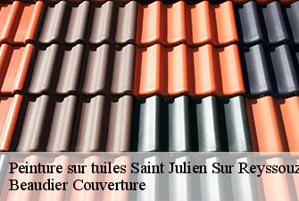 Peinture sur tuiles  saint-julien-sur-reyssouze-01560 Beaudier Couverture 