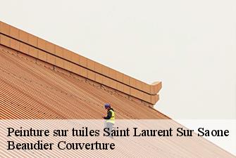 Peinture sur tuiles  saint-laurent-sur-saone-01620 Beaudier Couverture 