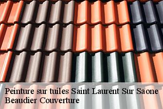 Peinture sur tuiles  saint-laurent-sur-saone-01620 Beaudier Couverture 