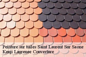 Peinture sur tuiles saint-laurent-sur-saone-01620 Kenji Lagrenee Couverture