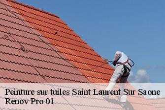 Peinture sur tuiles  saint-laurent-sur-saone-01620 Renov Pro 01