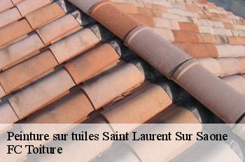 Peinture sur tuiles  saint-laurent-sur-saone-01620 FC Toiture