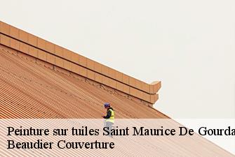 Peinture sur tuiles  saint-maurice-de-gourdans-01800 Beaudier Couverture 