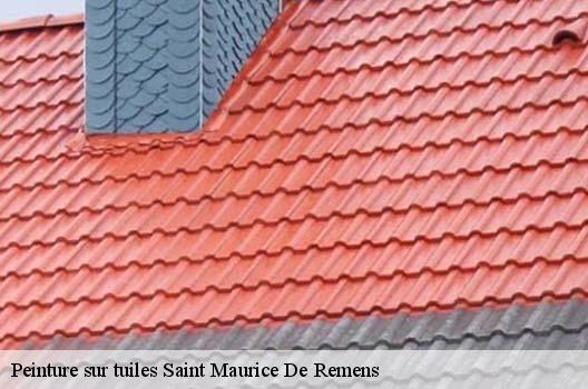 Peinture sur tuiles  saint-maurice-de-remens-01500 
