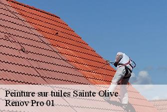 Peinture sur tuiles  sainte-olive-01330 Renov Pro 01