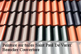 Peinture sur tuiles  saint-paul-de-varax-01240 Beaudier Couverture 