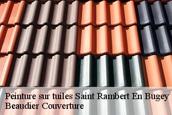 Peinture sur tuiles  saint-rambert-en-bugey-01230 Beaudier Couverture 