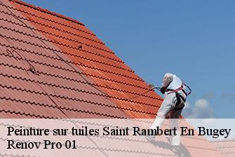 Peinture sur tuiles  saint-rambert-en-bugey-01230 Renov Pro 01
