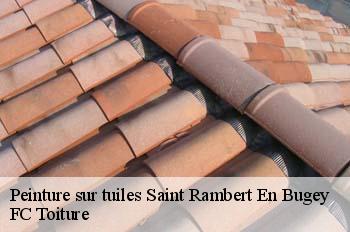 Peinture sur tuiles  saint-rambert-en-bugey-01230 FC Toiture