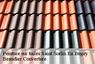 Peinture sur tuiles  saint-sorlin-en-bugey-01150 Beaudier Couverture 