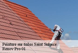 Peinture sur tuiles  saint-sulpice-01340 Renov Pro 01