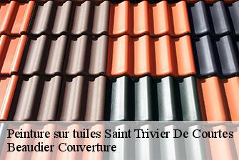 Peinture sur tuiles  saint-trivier-de-courtes-01560 Beaudier Couverture 