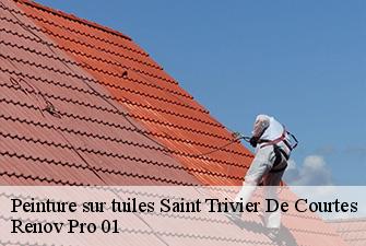 Peinture sur tuiles  saint-trivier-de-courtes-01560 Renov Pro 01