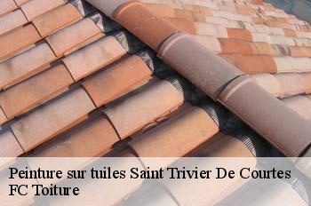 Peinture sur tuiles  saint-trivier-de-courtes-01560 FC Toiture
