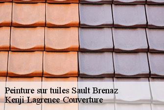 Peinture sur tuiles  sault-brenaz-01150 Kenji Lagrenee Couverture