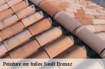 Peinture sur tuiles  sault-brenaz-01150 