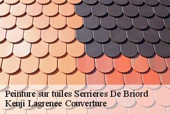 Peinture sur tuiles  serrieres-de-briord-01470 Kenji Lagrenee Couverture