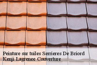Peinture sur tuiles  serrieres-de-briord-01470 Kenji Lagrenee Couverture