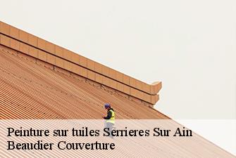 Peinture sur tuiles  serrieres-sur-ain-01450 Beaudier Couverture 